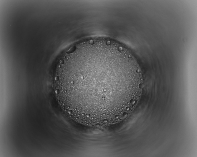 X0000094921255200712061102