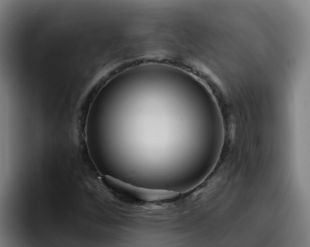 X0000094921256200712061102