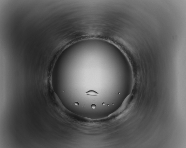 X0000094921257200712061102