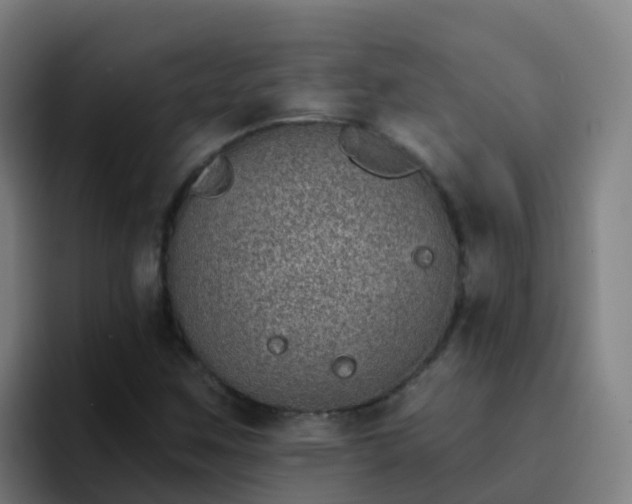 X0000094921259200712061102