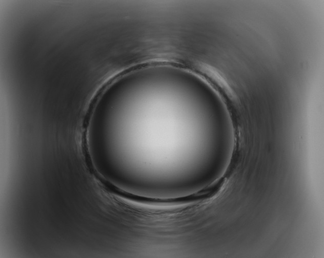 X0000094921260200712061102