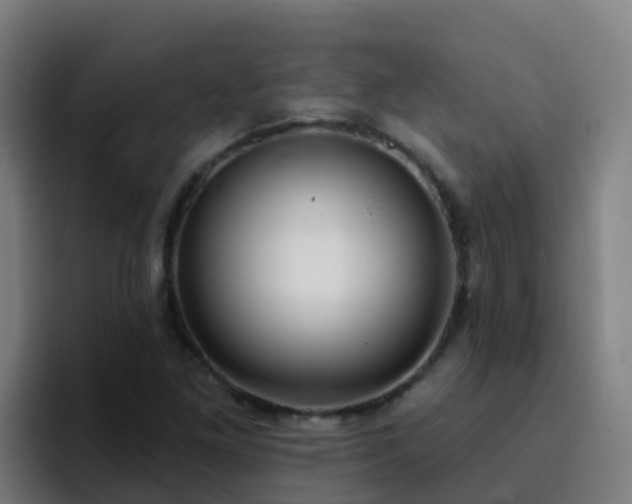 X0000094921261200712061102