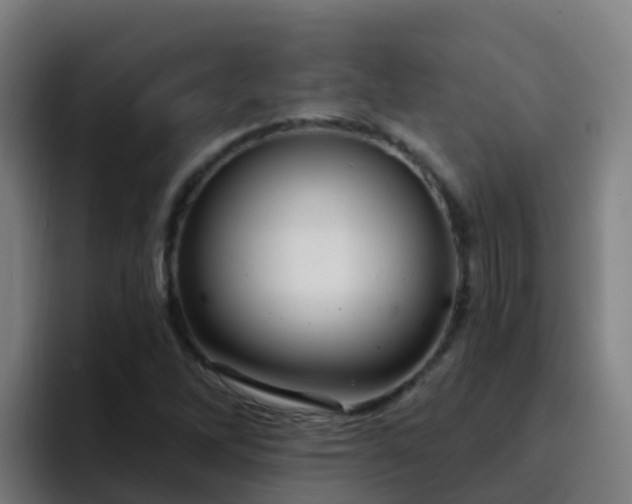 X0000094921262200712061102