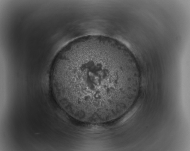 X0000094921263200712061102