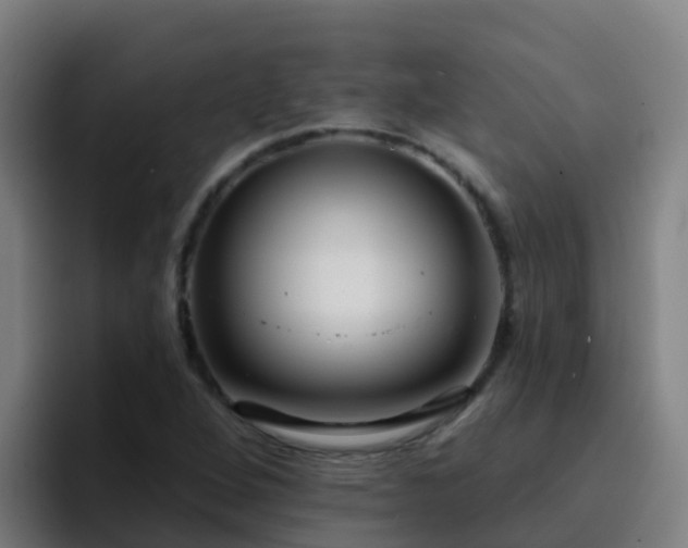 X0000094921264200712061102