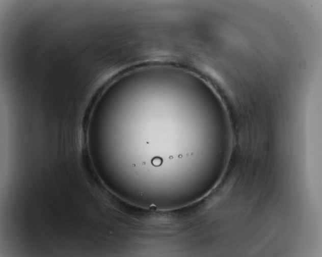 X0000094921267200712061102