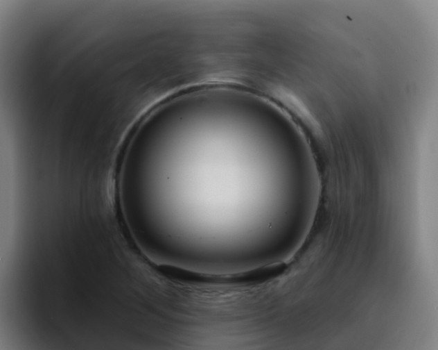 X0000094921268200712061102