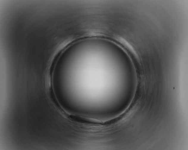 X0000094921269200712061102