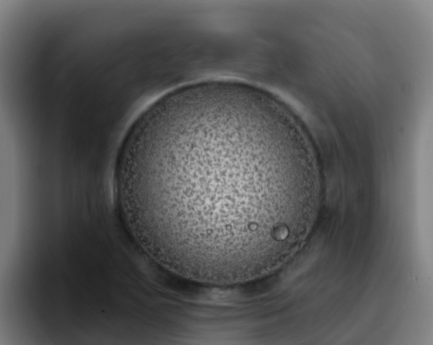 X0000094921271200712061102