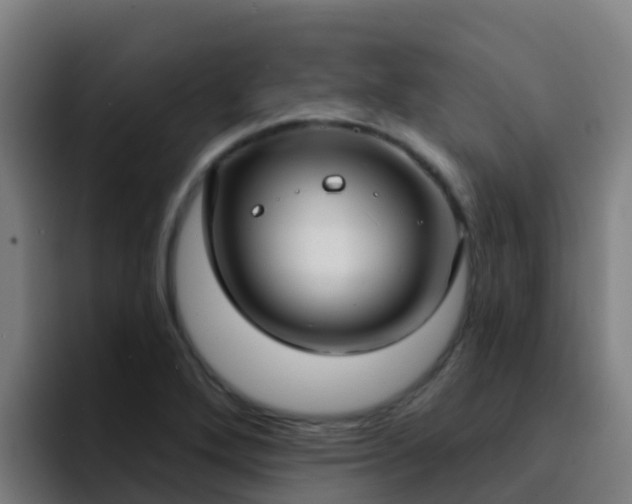 X0000094921272200712061102