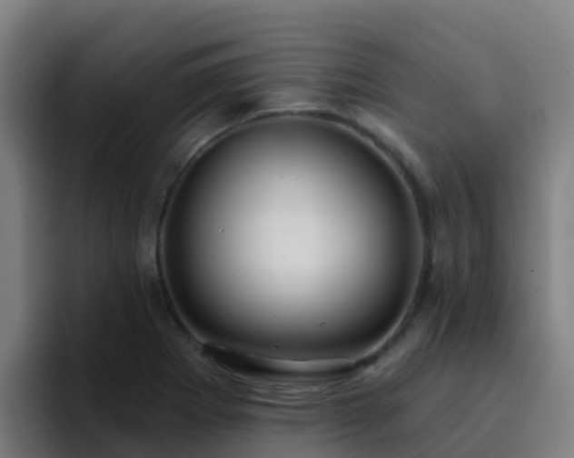 X0000094921273200712061102