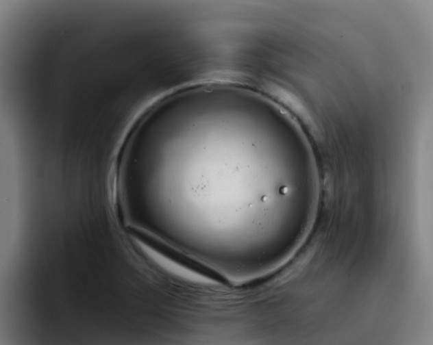 X0000094921275200712061102