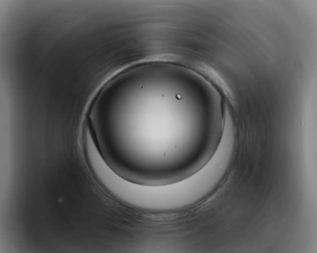 X0000094921276200712061101