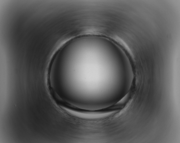 X0000094921277200712061101