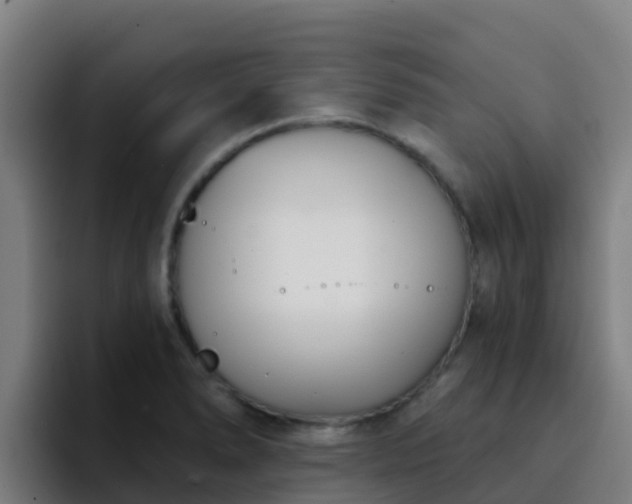 X0000094921278200712061101
