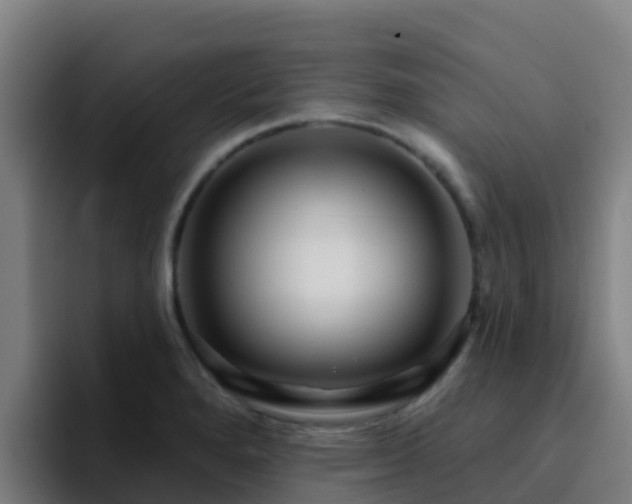 X0000094921280200712061101