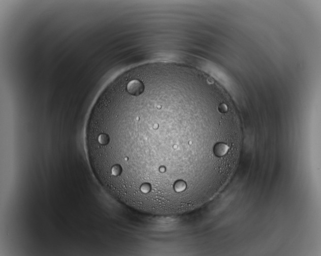 X0000094921283200712061101