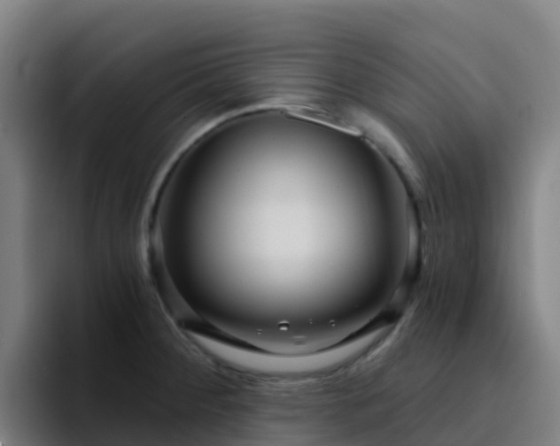 X0000094921284200712061101