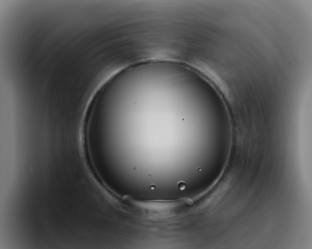 X0000094921285200712061101