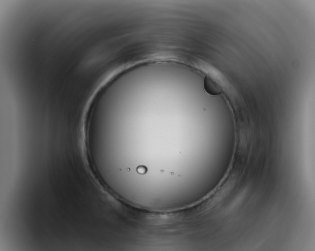 X0000094921286200712061101