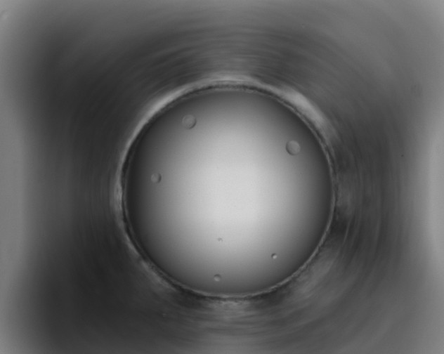 X0000094921287200712061101