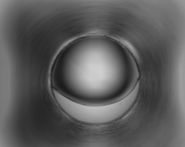 X0000094921288200712061101