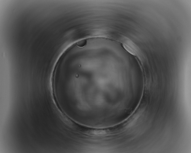 X0000094921291200712061101