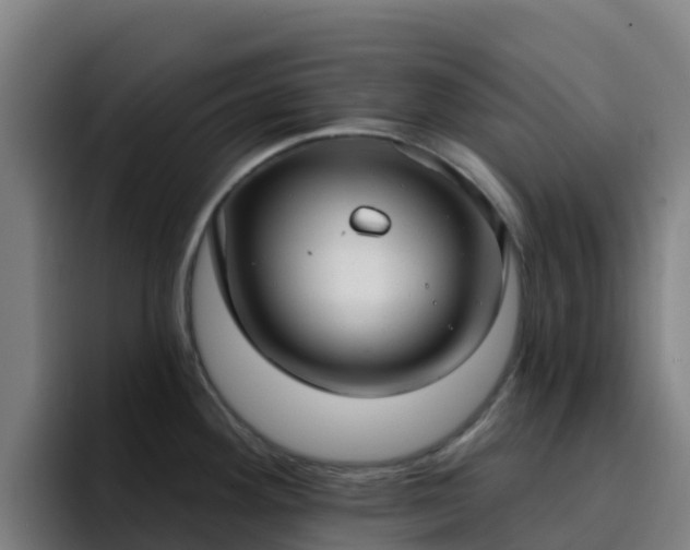 X0000094921292200712061101