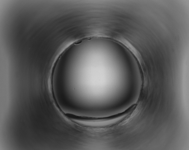 X0000094921293200712061101