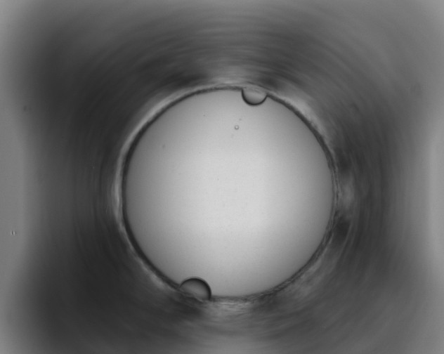 X0000094921294200712061101
