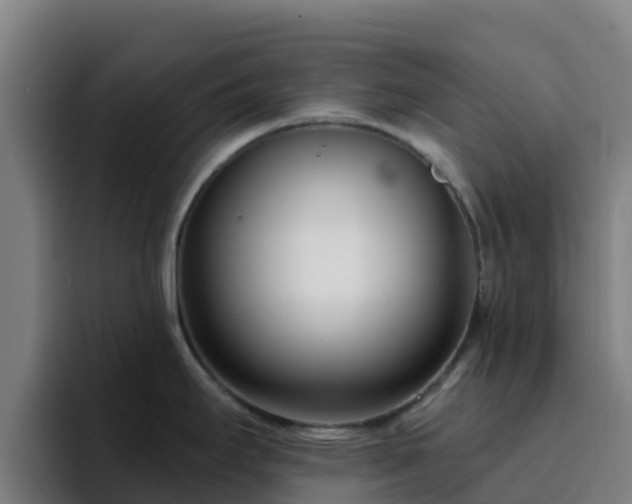 X0000094921295200712061101