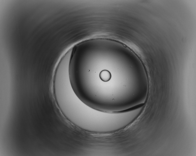 X0000094921296200712061101