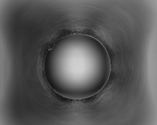 X0000094921297200712061101