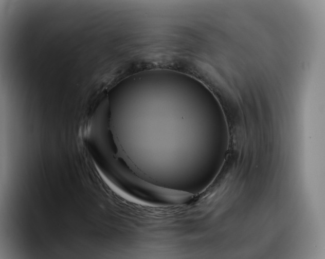 X0000094921298200712061101