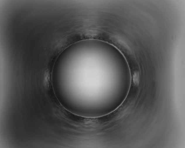 X0000094921299200712061101