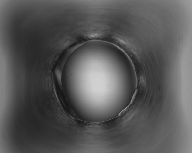 X0000094921300200712061101