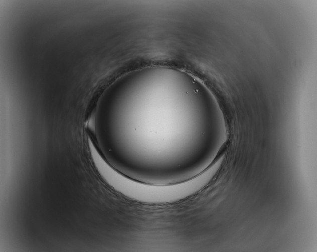 X0000094921301200712061101