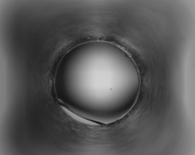 X0000094921302200712061101