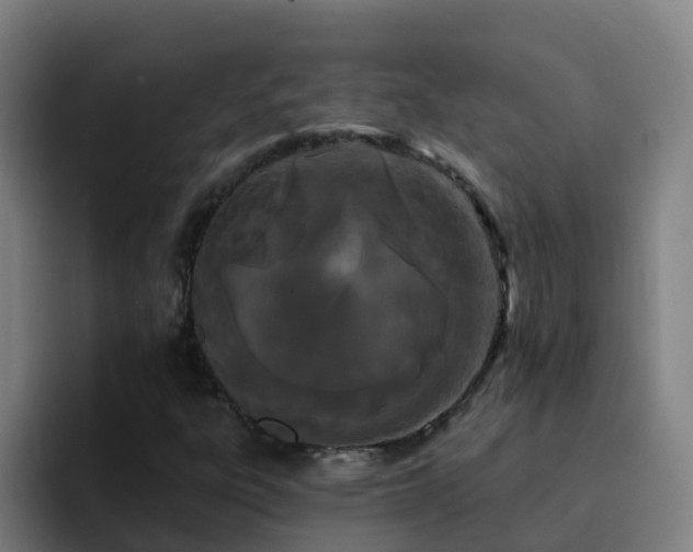 X0000094921303200712061101