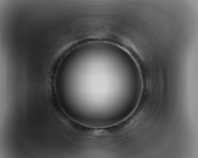 X0000094921304200712061101