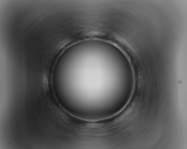 X0000094921305200712061101