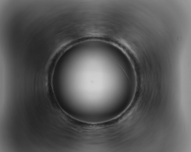 X0000094921307200712061101