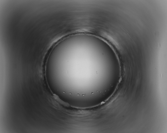 X0000094921308200712061101