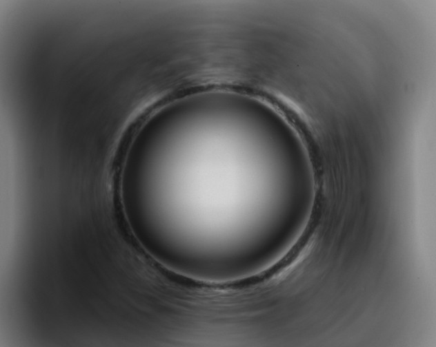 X0000094921309200712061101