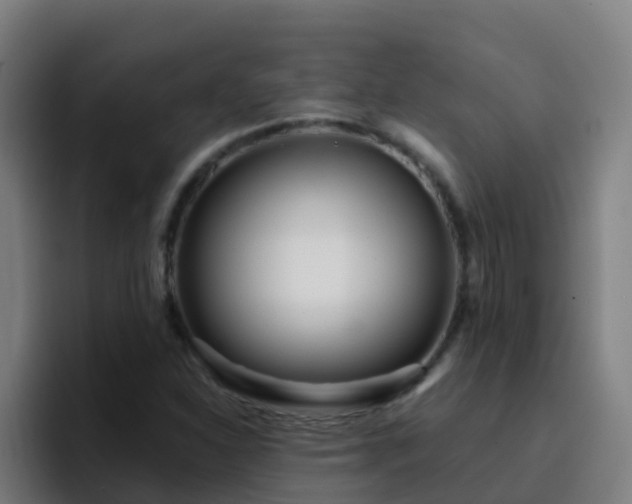 X0000094921310200712061101