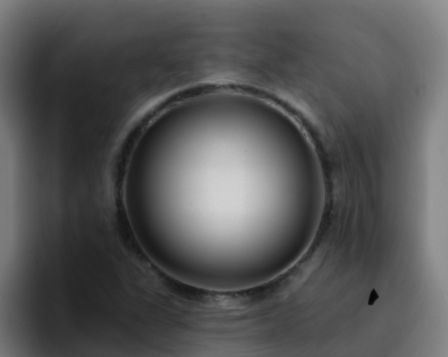 X0000094921311200712061101