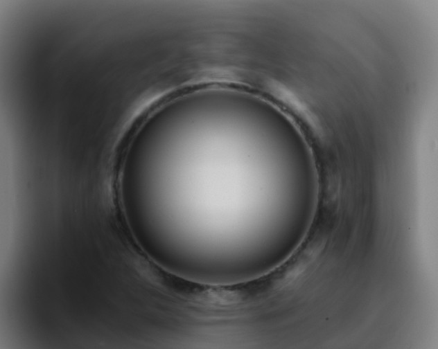 X0000094921312200712061101