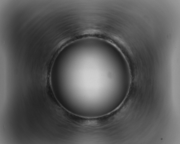 X0000094921313200712061101