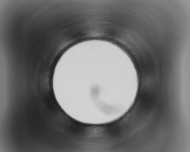 X0000094921314200712061101