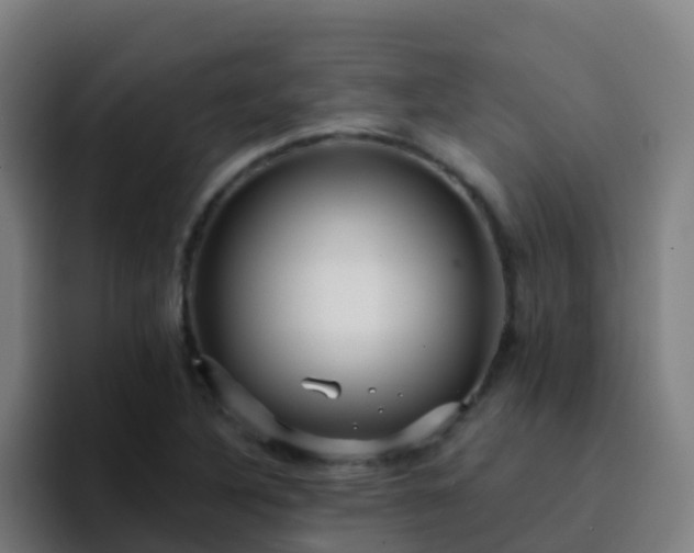 X0000094921316200712061101